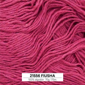63. FIUSHA